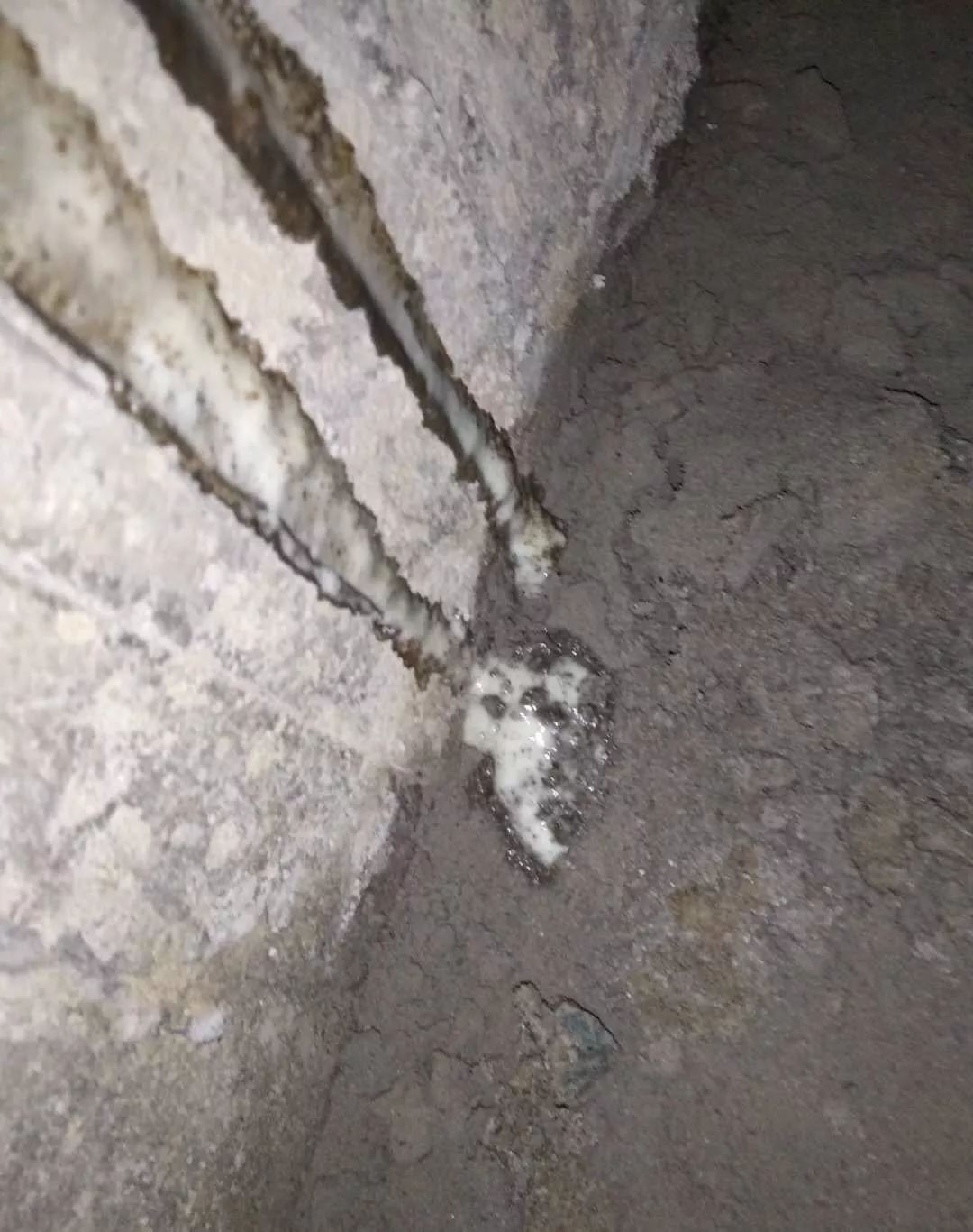 pg电子模拟器(中国游)官方网站