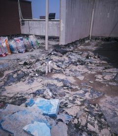 pg电子模拟器(中国游)官方网站