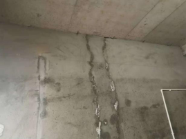 pg电子模拟器(中国游)官方网站