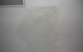 pg电子模拟器(中国游)官方网站