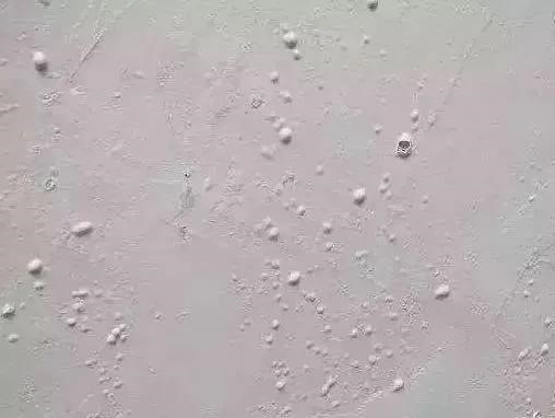 pg电子模拟器(中国游)官方网站