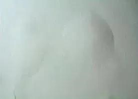 pg电子模拟器(中国游)官方网站