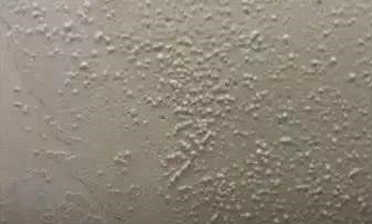 pg电子模拟器(中国游)官方网站