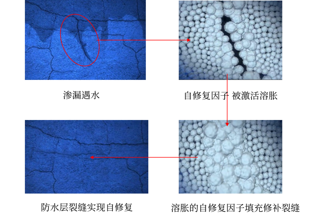 pg电子模拟器(中国游)官方网站