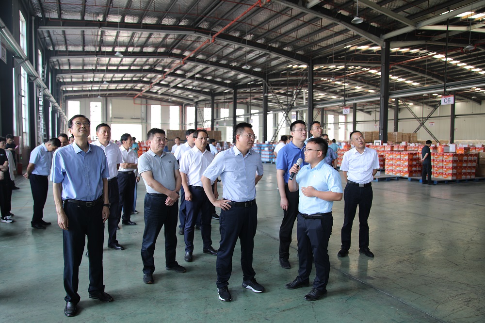 pg电子模拟器(中国游)官方网站