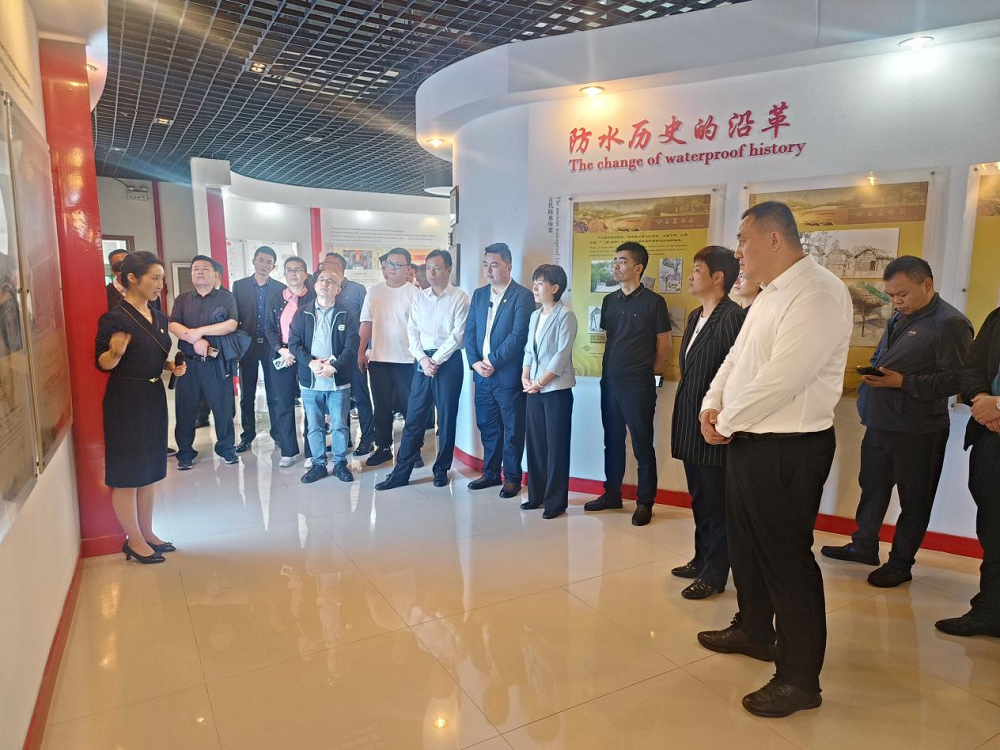 pg电子模拟器(中国游)官方网站