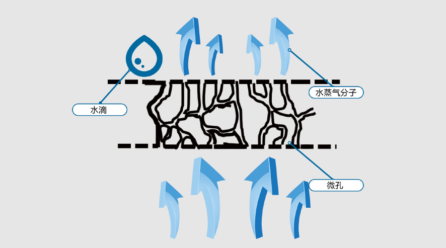 pg电子模拟器(中国游)官方网站
